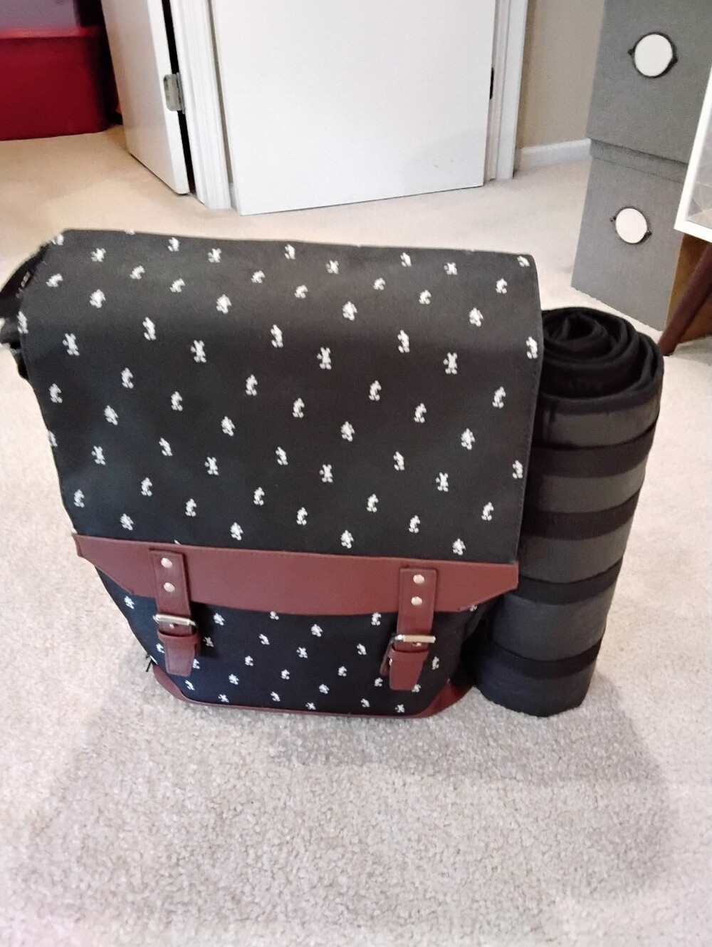 Mickey Mouse Picnic Backpack